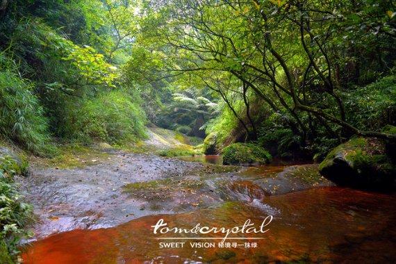 逃离废弃高校