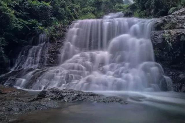 红树林逃生